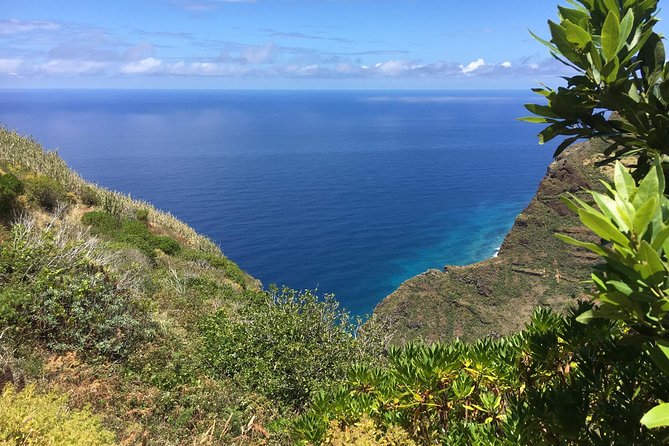 Porto Moniz and Cable Car Tour - Participant Information