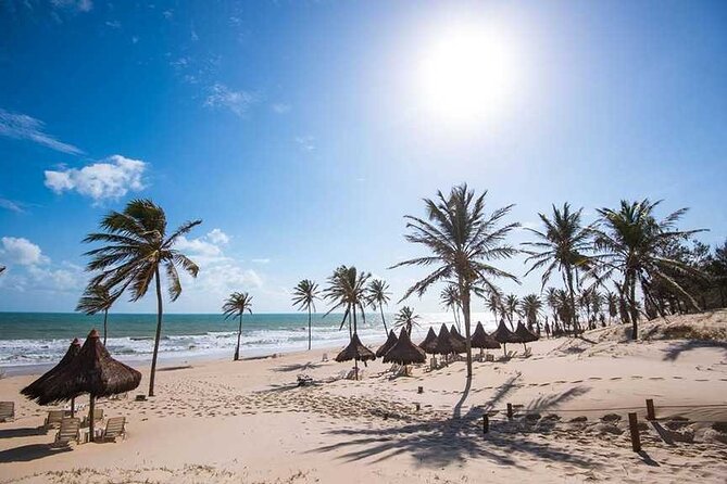 Portuguese Classes in Brazil - Pricing and Guarantees