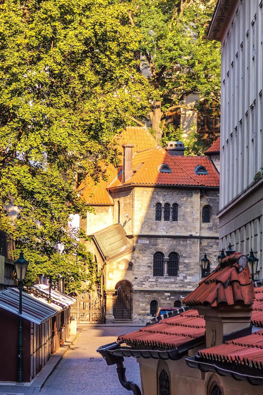 Prague: Jewish Quarter Half-Day Private Walking Tour - Synagogue Visits