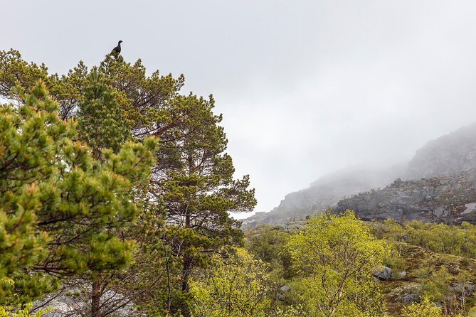 Preikestolen Hidden Trail Hike and Canoe Trip - Pricing and Booking Details