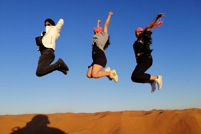 Premium Red Dune Safari, Sandboarding, Camel Ride, 5* BBQ Dinner - Customer Ratings and Feedback
