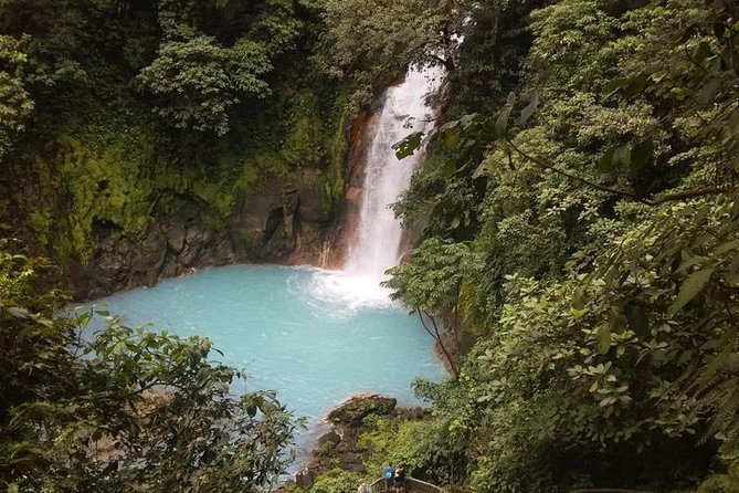 Premium Tour:Sloths and Río Celeste Y Cortez Waterfalls (Tenorio Volcano Park) - Reviews and Ratings