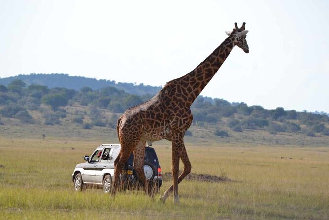 Private 1 Day Akagera Big Five Safari With Pick up and Lunch. - Pricing Details