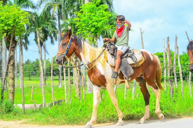 Private 2-Hour Horseback Riding Tour of Macao Alto Beach - Reviews and Ratings