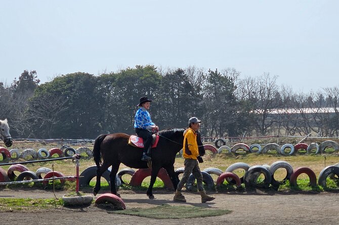 Private 2DAYS Tour a Lot of Experience Driver in Jeju Island - Customer Experience Highlights