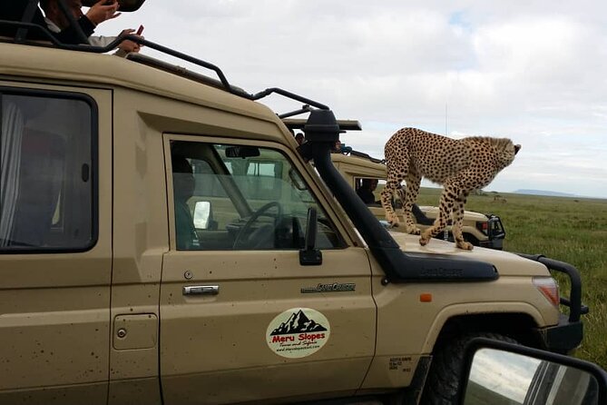 Private 4 Days Safari in Tarangire, Serengeti and Ngorongoro - The Ngorongoro Crater