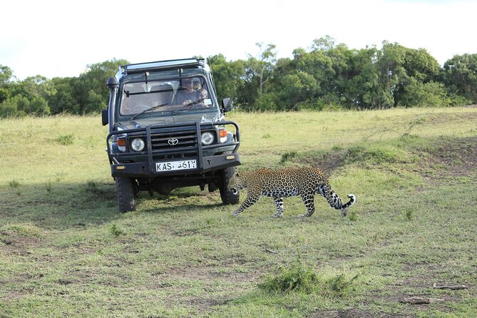 Private 7 Days Kenya Safari Amboseli, Naivasha, Nakuru, Mara - Experiencing Kenyan Culture