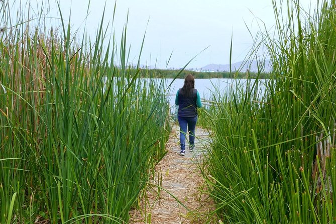 Private and Exclusive Nature and Trek in Chorrillos - Insights on the Local Ecology