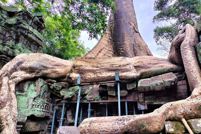 Private Angkor Wat Sunrise, Ta Promh, Banteay Srei, Bayon Tour - Booking Information