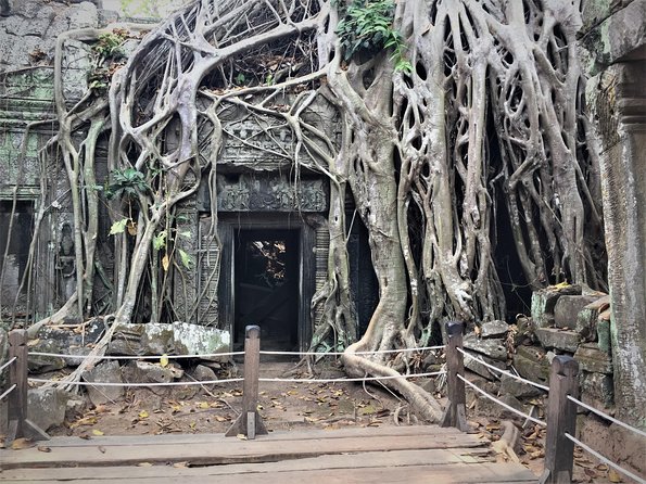 Private Angkor Wat Tour From Siem Reap - Cancellation Policy