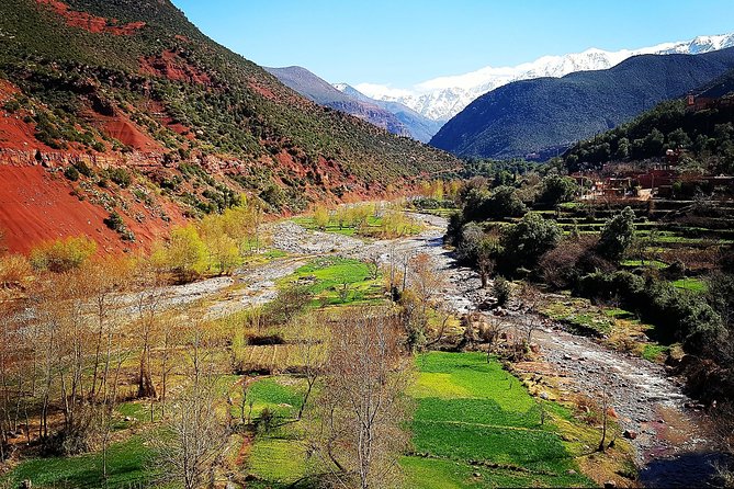 Private Atlas Mountains and 5 Valleys Tour From Marrakech - All Inclusive - - Experience the Ourika Valley