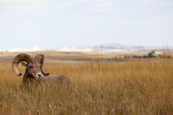 Private Badlands National Park Day Tour - Whats Included in the Tour