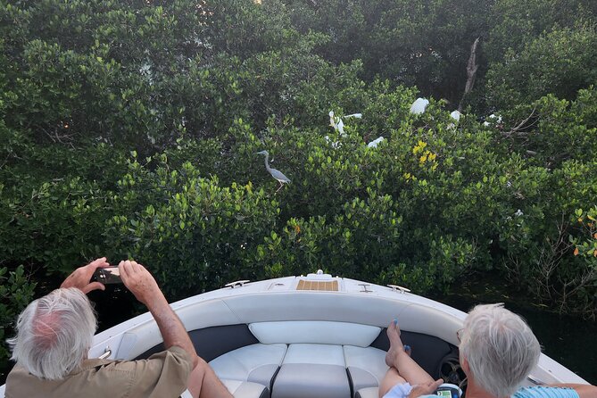 Private Boat: Island Cruise and Dolphins - Traveler Reviews and Ratings