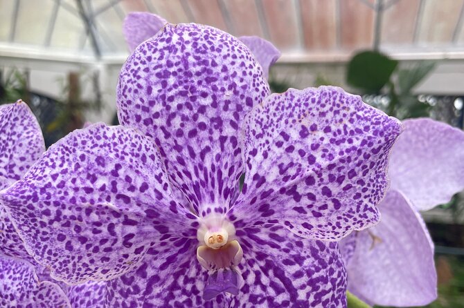 Private Botanical Garden Tour in Rio De Janeiro - Review and Ratings