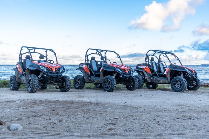 Private Buggy Excursion in Guadeloupe - Booking Information