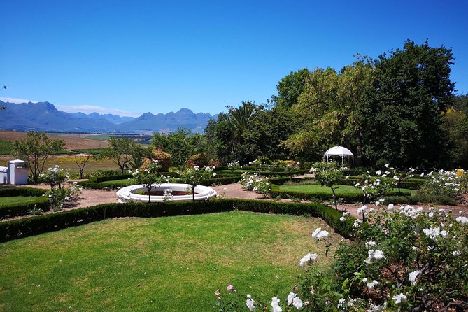 Private Cape Winelands From Stellenbosch or Franschhoek or Paarl - Traveler Reviews and Feedback