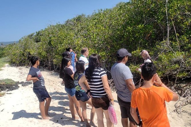 Private Charles Darwin Station Tour &Tortuga Bay Beach With Lunch - Exploring Charles Darwin Station