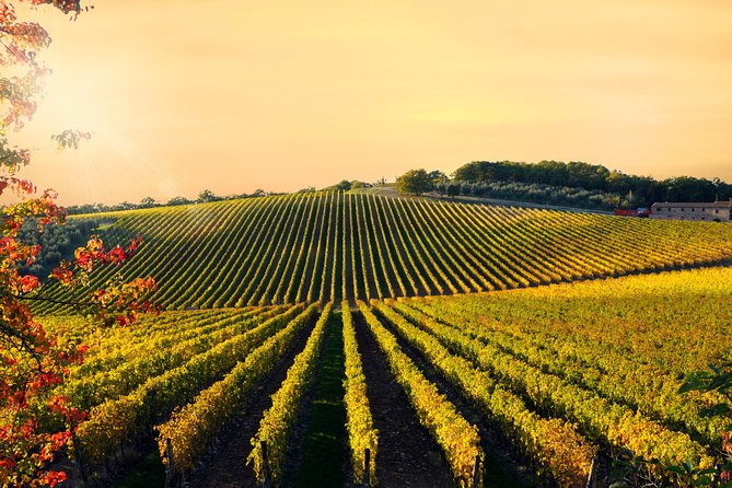 Private Chianti Classico Tour With Wine and Food Tasting in a Historic Estate - Additional Destinations