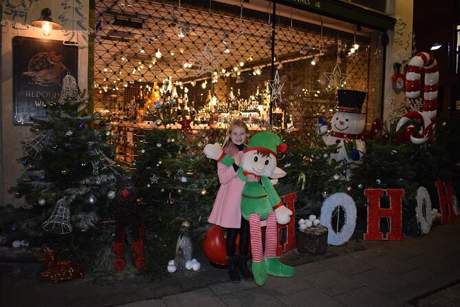 Private Christmas Lights Taxi Tour With Pick up - Inclusions and Amenities