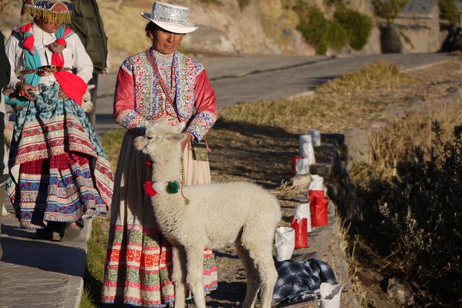 Private Colca Full-Day Tour From Arequipa - Customer Feedback