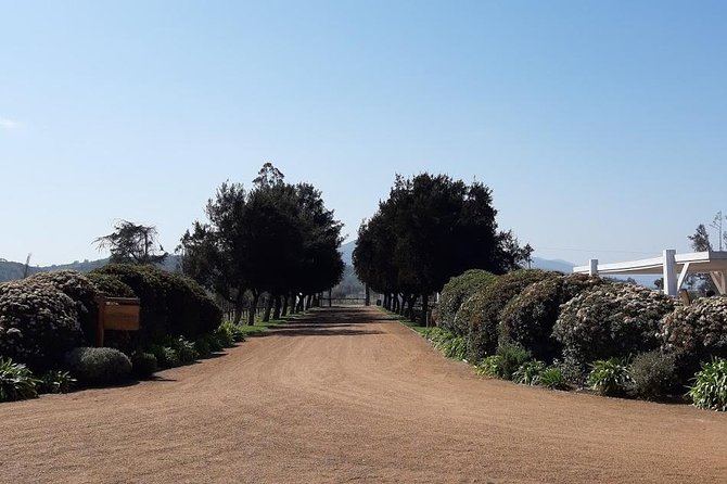Private Colchagua Valley Wine Tour All Inclusive From Santiago - Tour Reviews and Pricing Information