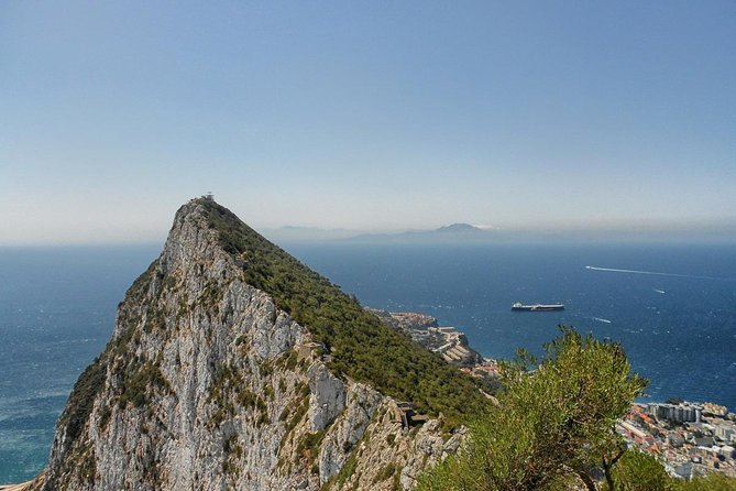 Private Day to Gibraltar From Marbella or Marbella - Visit Upper Rock Nature Reserve