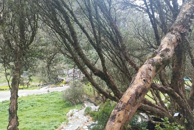 Private Day Tour in Cuenca and Cajas - Cancellation Policy