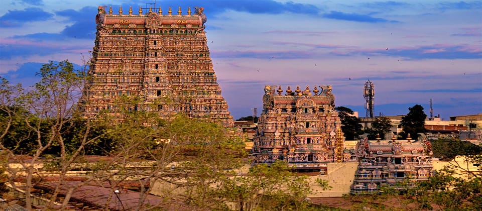 Private Day Tour: Pondicherry to Tanjore, Trichy & Madurai - Exclusions