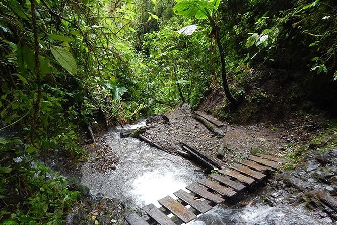 Private Day Tour to Mindo – Waterfalls & Hummingbirds