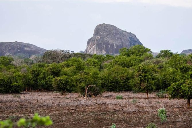 Private Day Tour: Yala National Park Safari Tour From Galle & Weligama - Transportation and Amenities