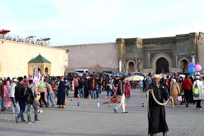 Private Day Trip From Fez to Volubilis and Meknes (Without Shopping) - Tips for Travelers