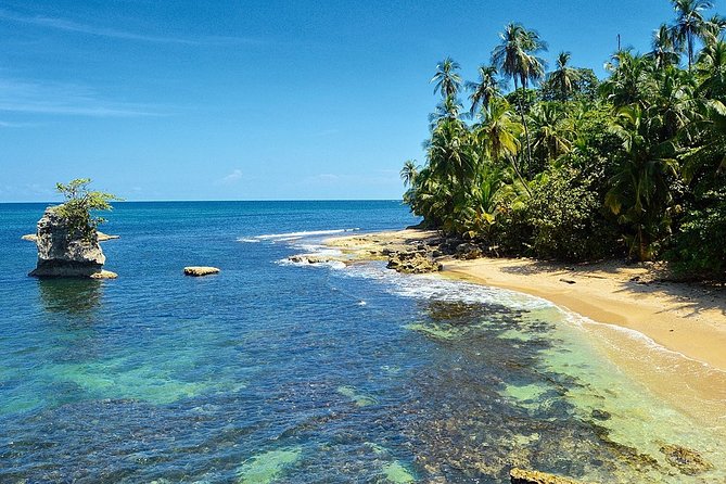 Private Day Trip From San Jose to Cahuita National Park (Caribbean Coast) - Tour Duration and Schedule