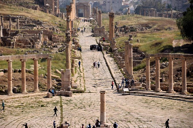 Private Day Trip to Jerash, Umm Qais and Ajloun Castle From Amman - Traveler Feedback