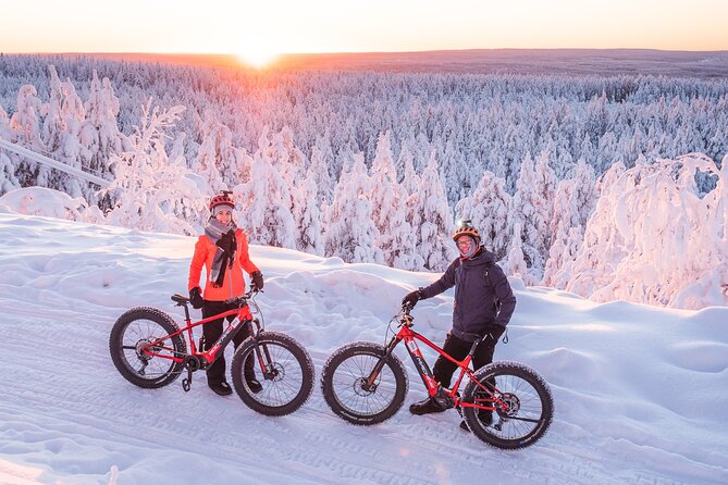 Private Electric Fat Bike Winter Tour in Rovaniemi - Pricing and Booking