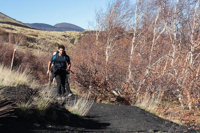 Private Etna Trekking Half Day Tour From Taormina - Exploring Mt. Etnas Highlights