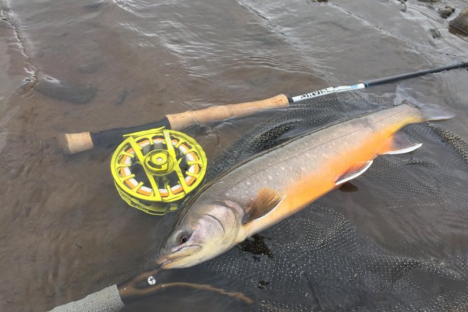 Private Fishing Tour From Reykjavik - Arctic Char and Brown Trout - Customer Reviews