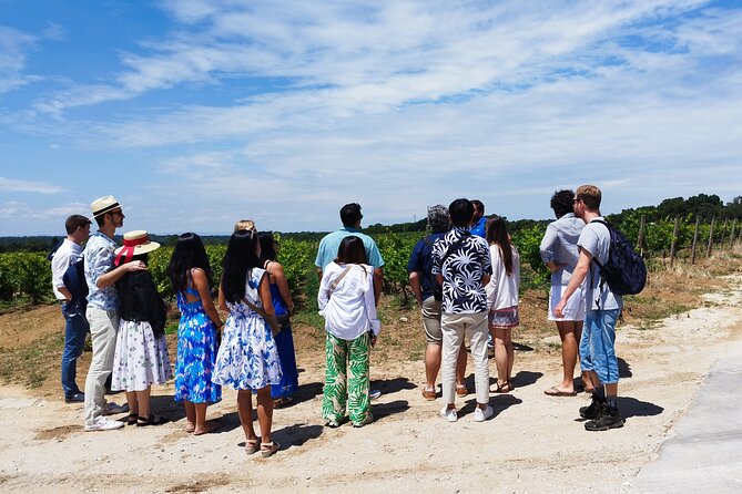Private Full Day Evora & Alentejo Wine Tour From Lisbon - Historical Exploration