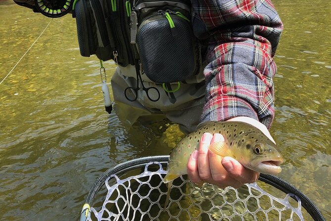 Private Full Day Fly Fishing For Beginners and Experienced Anglers - Suitability and Physical Fitness