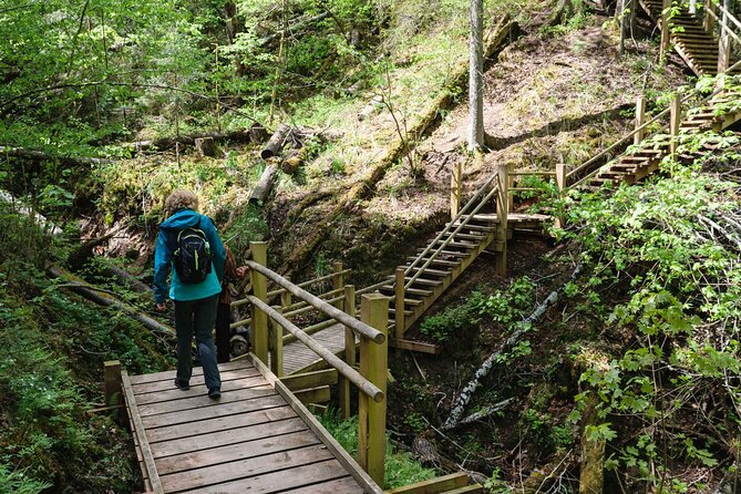Private Full-Day Hiking Tour in Sigulda and Gauja National Park - Pickup and Transportation
