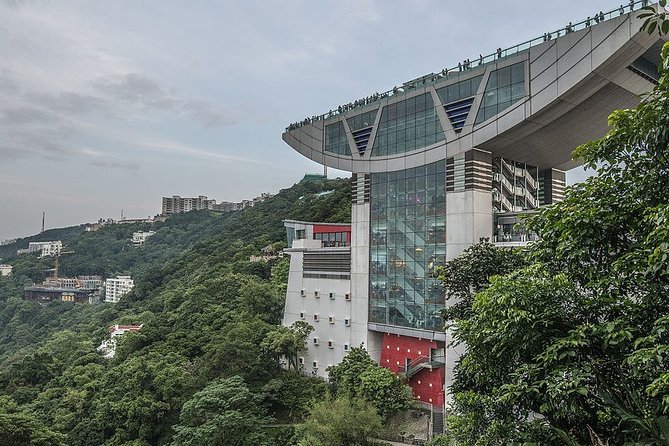 Private Full-Day Hong Kong Island Top Attraction Tour - Peak Tower and Sky Terrace