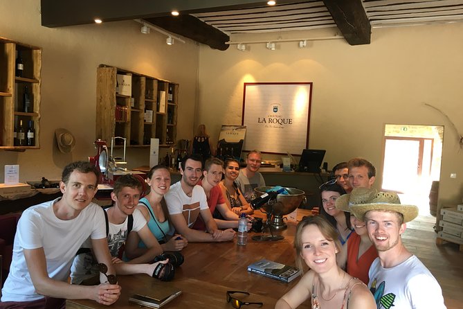 Private Full Day Pic Saint Loup Wine and Olive Tour With Lunch From Montpellier - Lunch at Local Restaurant