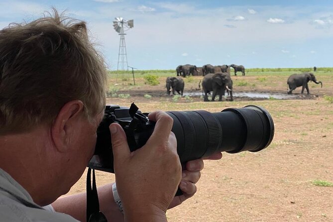 Private Full Day Safari (10 Hours) in Kruger National Park - Wildlife Encounters