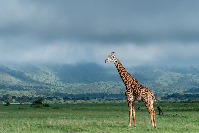 Private Full-Day Tour Akagera Game Drive - Preparing for the Safari Adventure