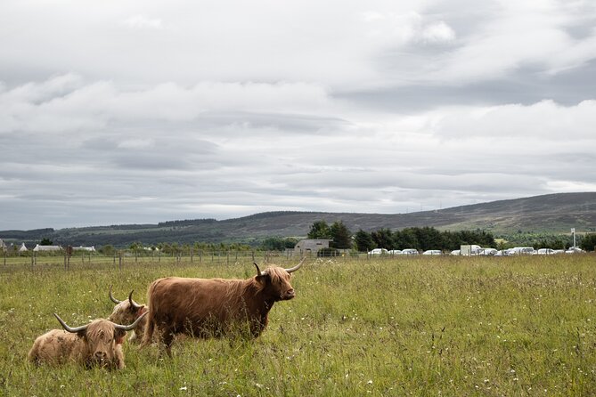 Private Full-Day Tour to the Scottish Highlands and Loch Ness - Accessibility Information