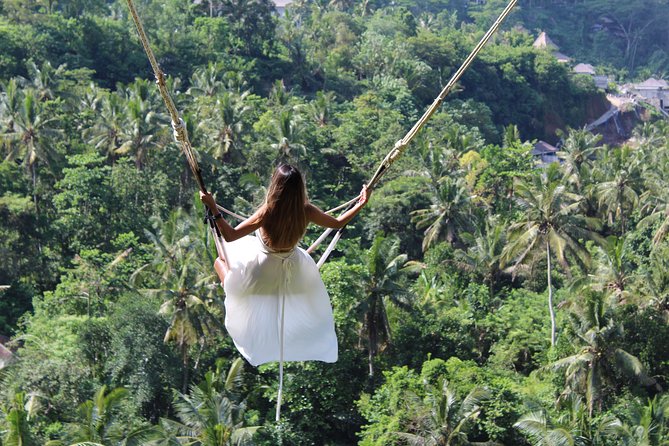 Private Full Day Tour to Ubud Highlights With Giant Swing - Included Amenities