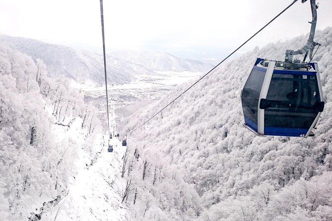 Private Gabala Tour - Travel Experience Details