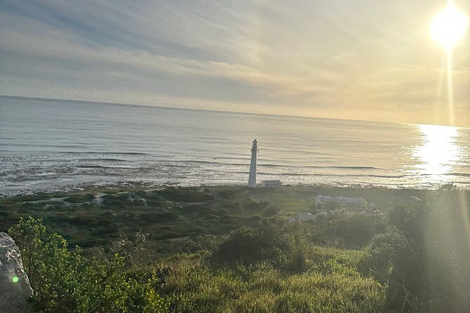 Private Guided Tour in Cape of Good Hope and Table Mountain - Tour Itinerary Overview