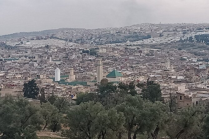 Private Guided Tour in Fez - Exploring the Medina
