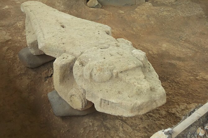 Private Guided Tour in The Archaeological Park - Positive Customer Reviews