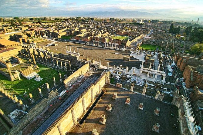 Private Guided Tour of Pompeii and Herculaneum - Customer Reviews